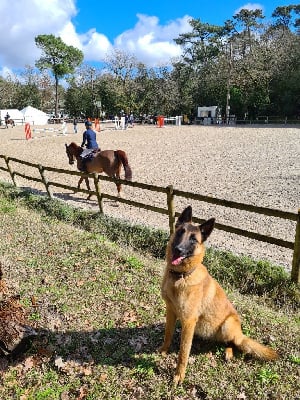 Du Domaine Du Pont De Loye