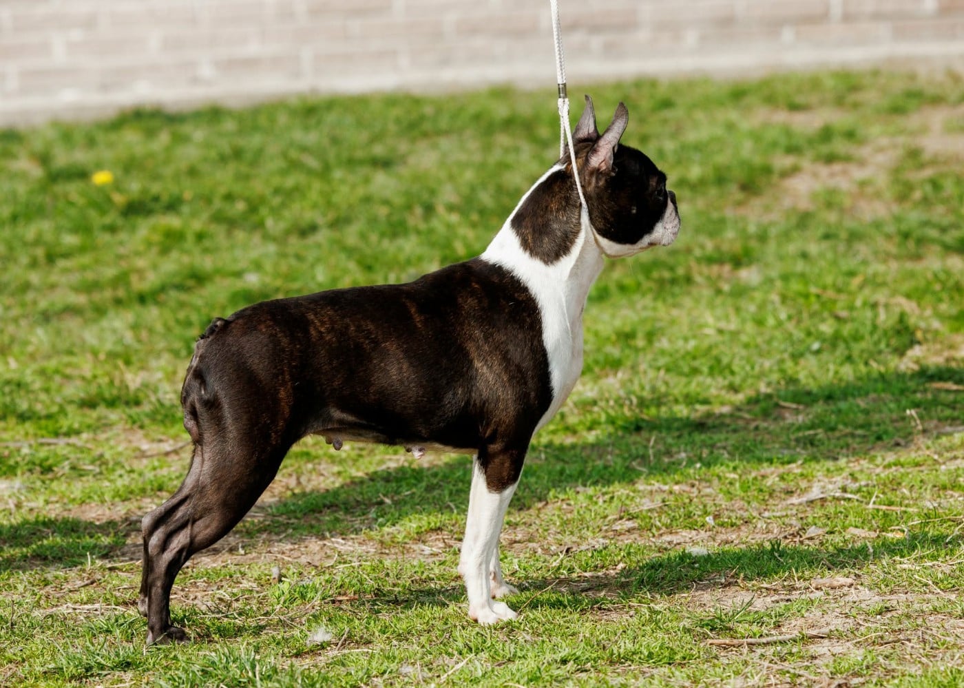 Ever Single Touch magic