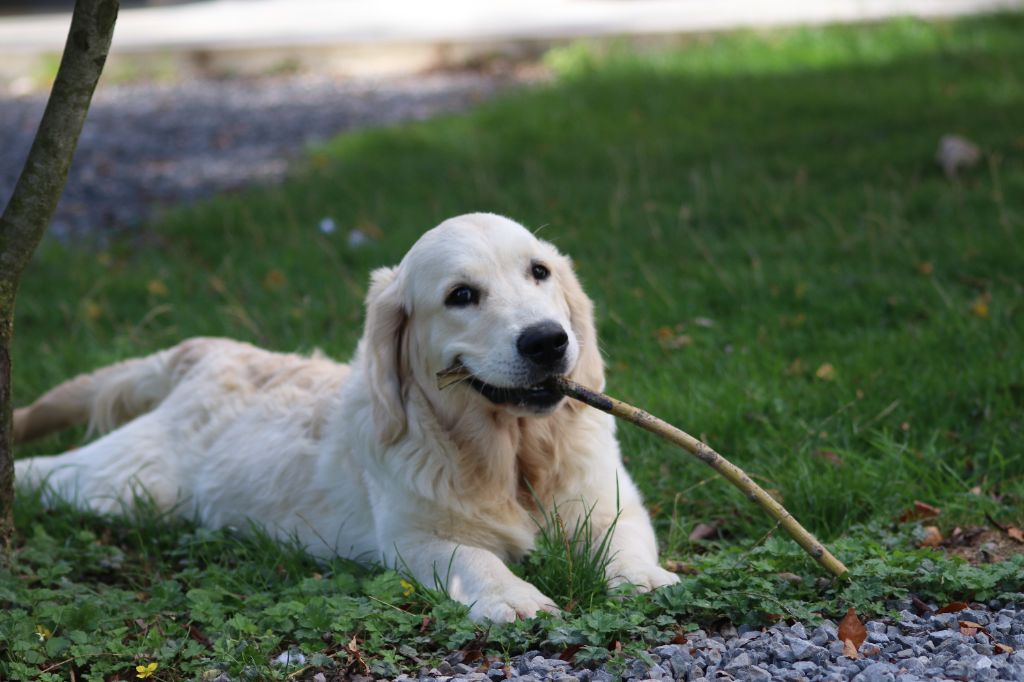 Spirit of moon Alaska