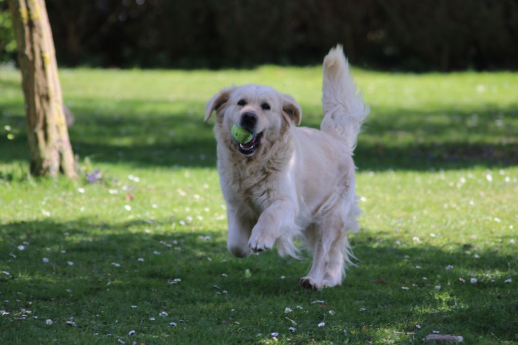 Sephora du domaine d'alexan (Sans Affixe)