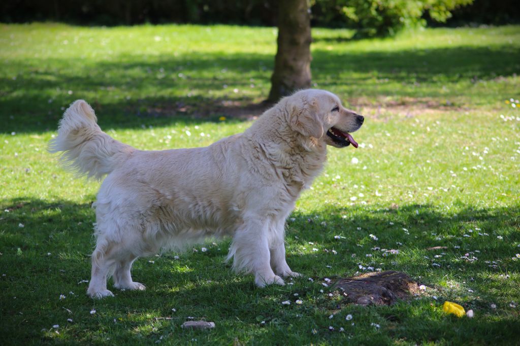 Sephora du domaine d'alexan (Sans Affixe)