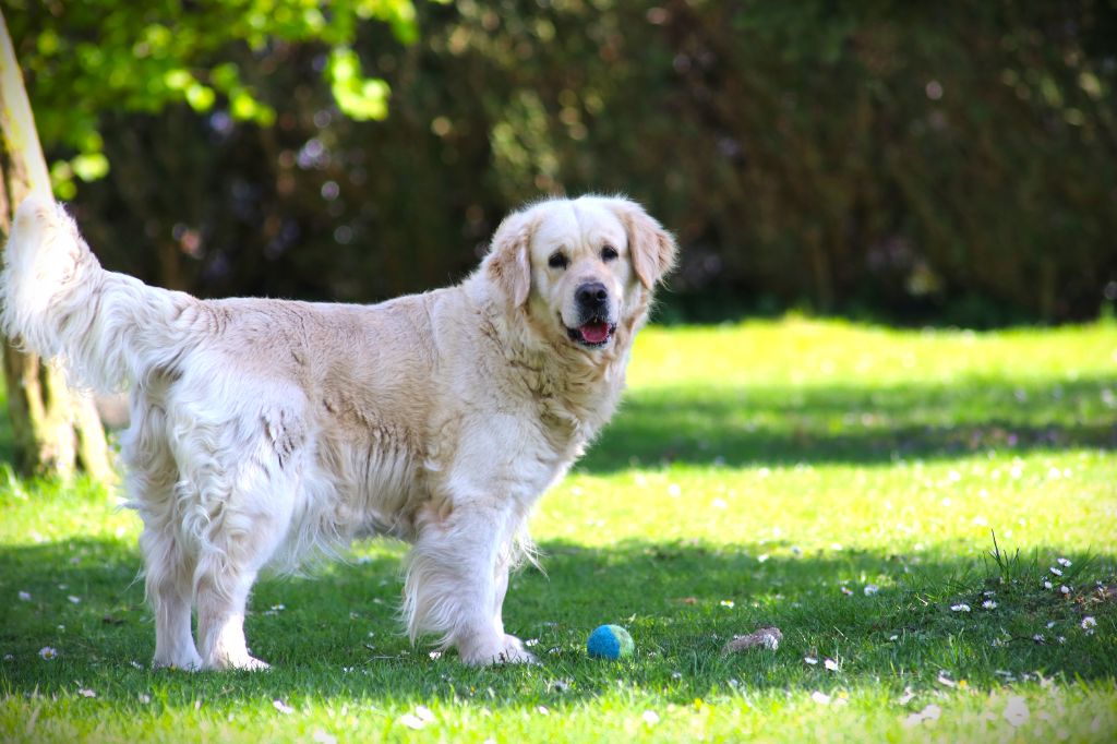 Sephora du domaine d'alexan (Sans Affixe)