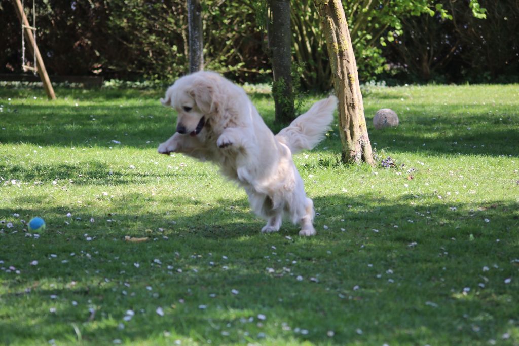 Sephora du domaine d'alexan (Sans Affixe)