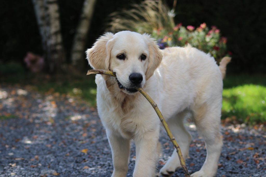 Spirit of moon Alaska