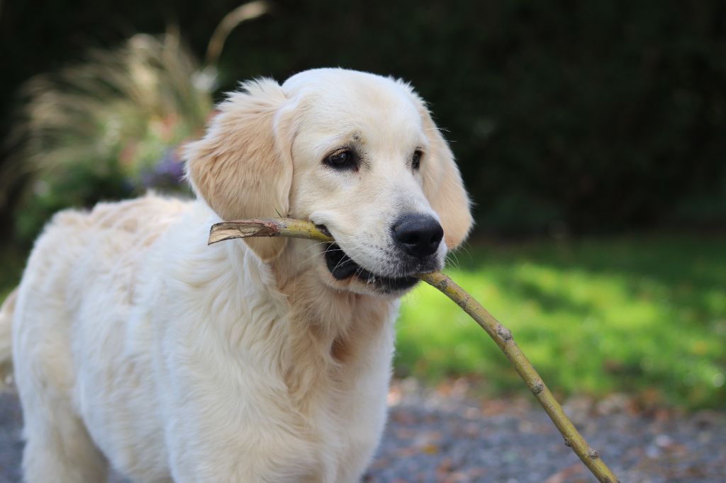 Spirit of moon Alaska