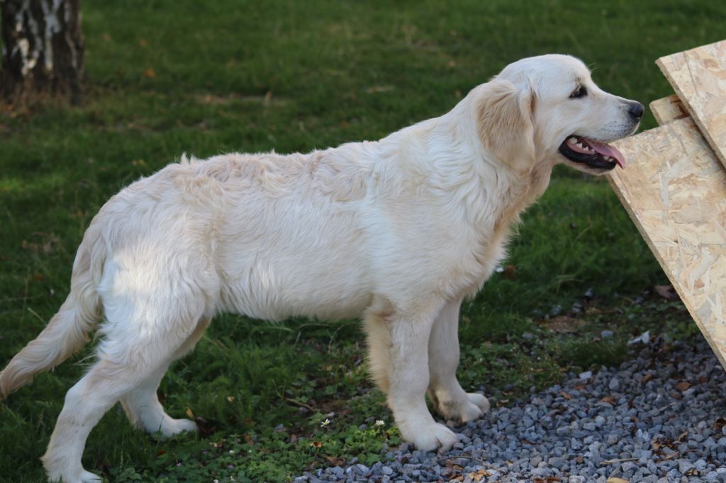 Spirit of moon Alaska