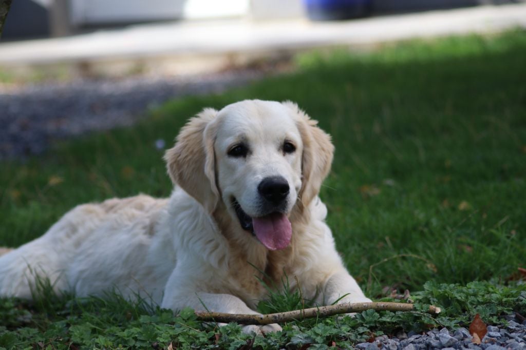 Spirit of moon Alaska