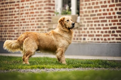 Du Domaine De Bonavis