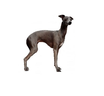 Du Val De La Rose Des Vents