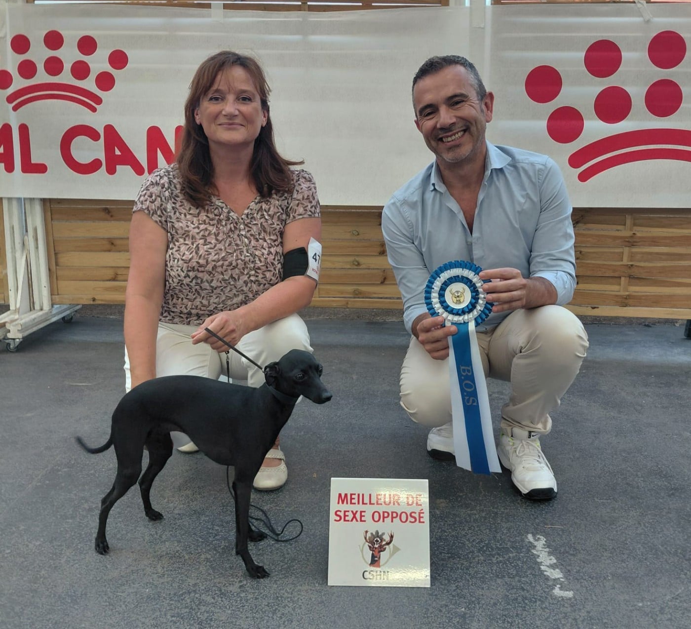 VALENTINO Du Val De La Rose Des Vents - 1ER EXCELLENT CACS CACIB MEILLEUR DE SEXE OPPOSE