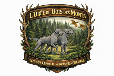 De l'Orée Du Bois Des Monts