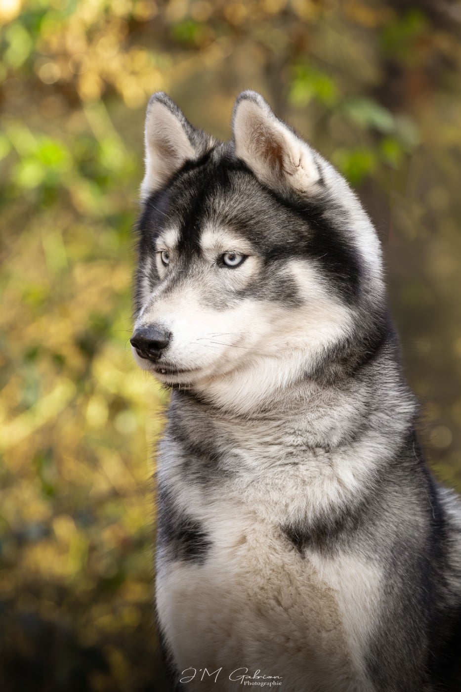 Rolling dit rio De La Vicharde