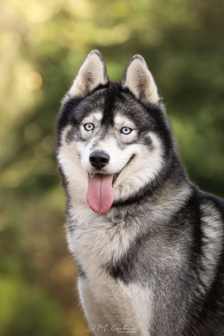 Rolling dit rio De La Vicharde