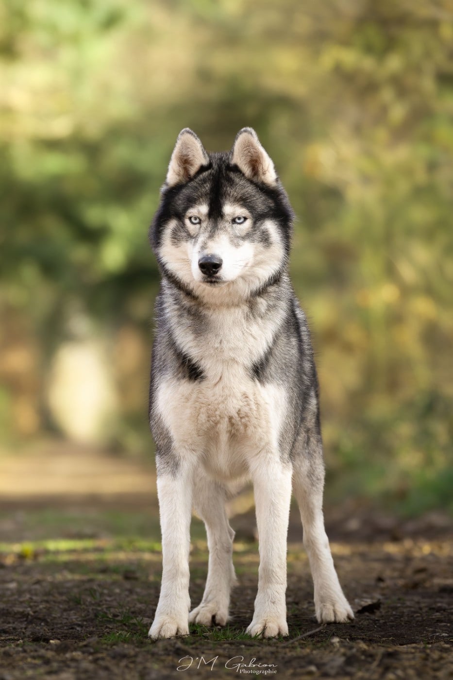 Rolling dit rio De La Vicharde