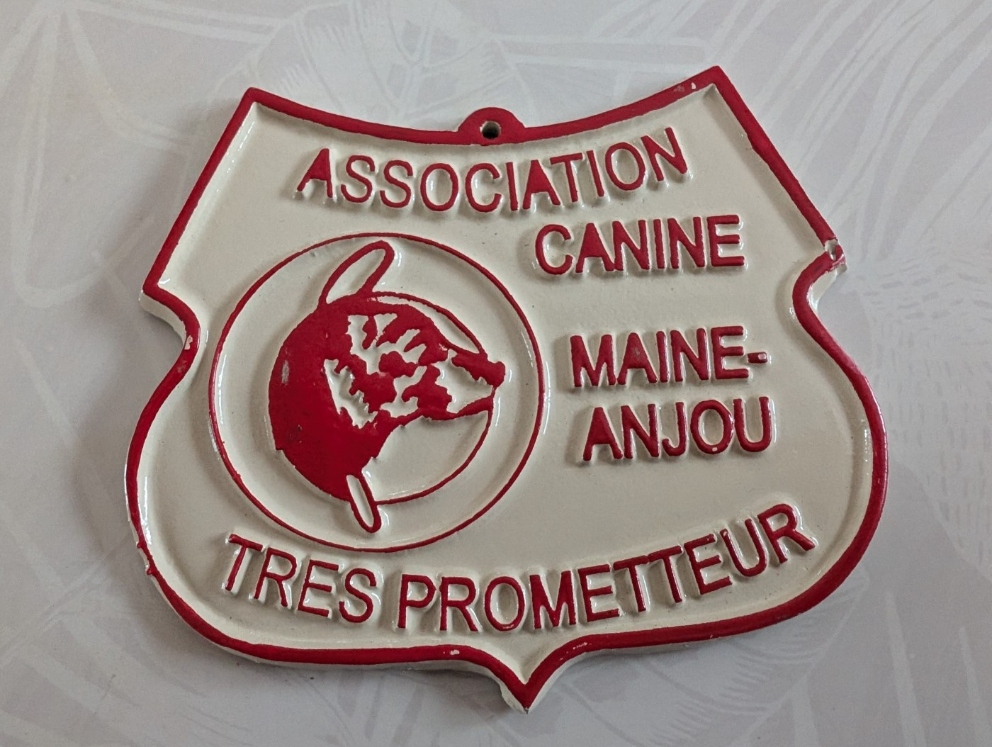 Angel Zorsky - 2ème TRÈS PROMETTEUR