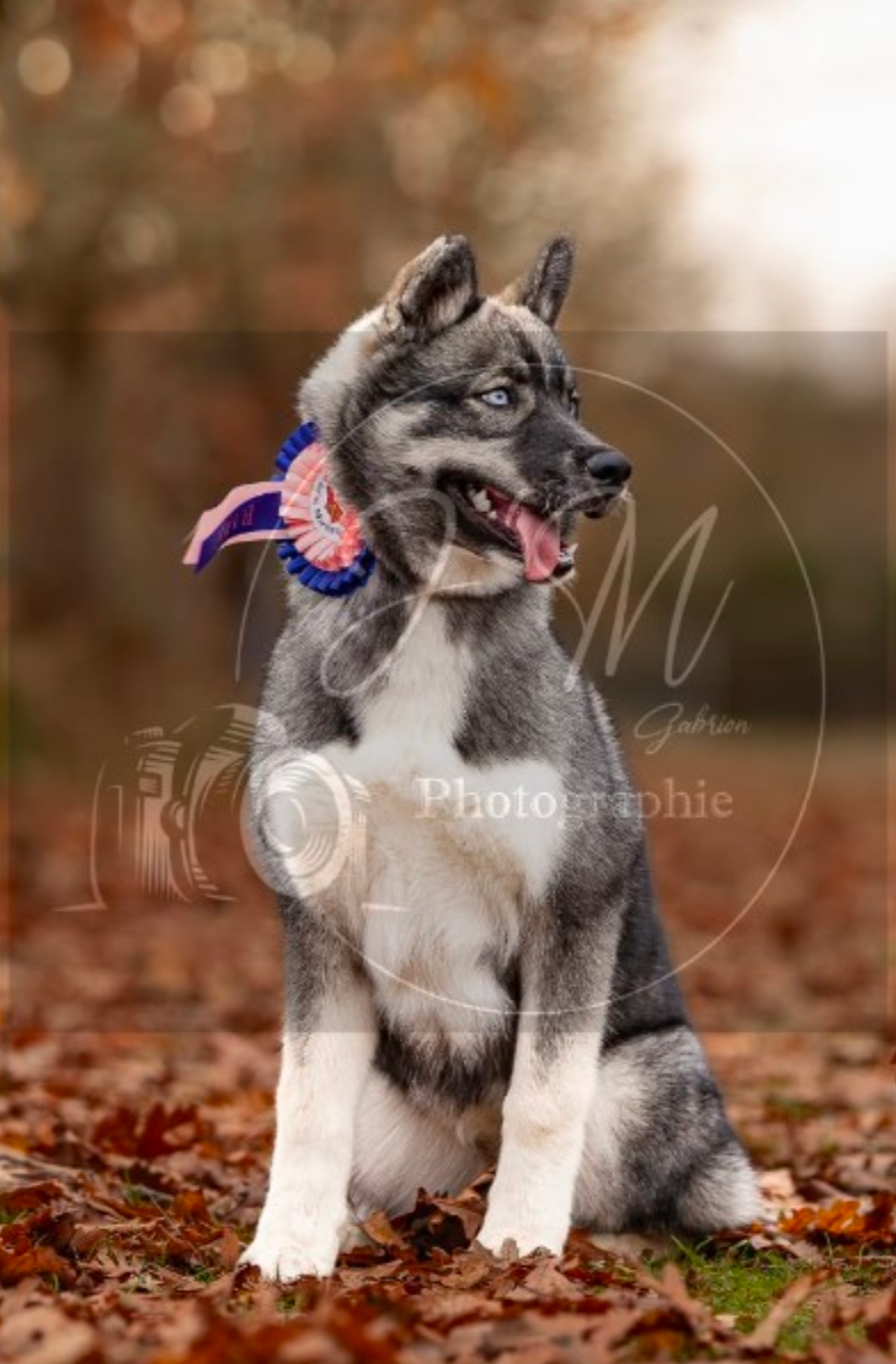 Angel Zorsky - 1er PROMETTEUR