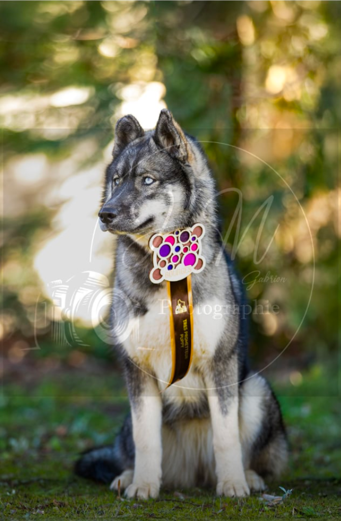 Angel Zorsky - 2ème PROMETTEUR