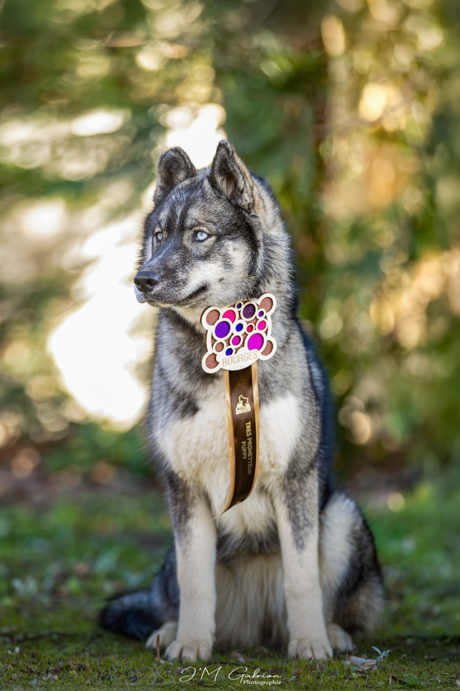 Angel Zorsky - 2ème PROMETTEUR