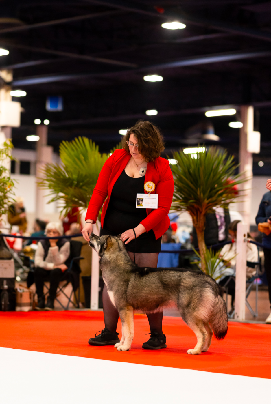 Angel Zorsky - 2ème TRÈS PROMETTEUR