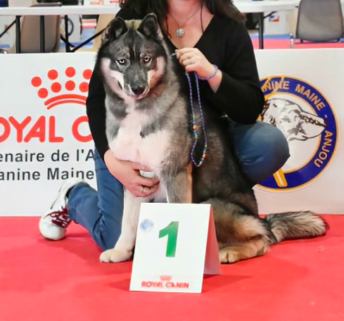 Angel Zorsky - 1er TRÈS PROMETTEUR et MEILLEUR PUPPY