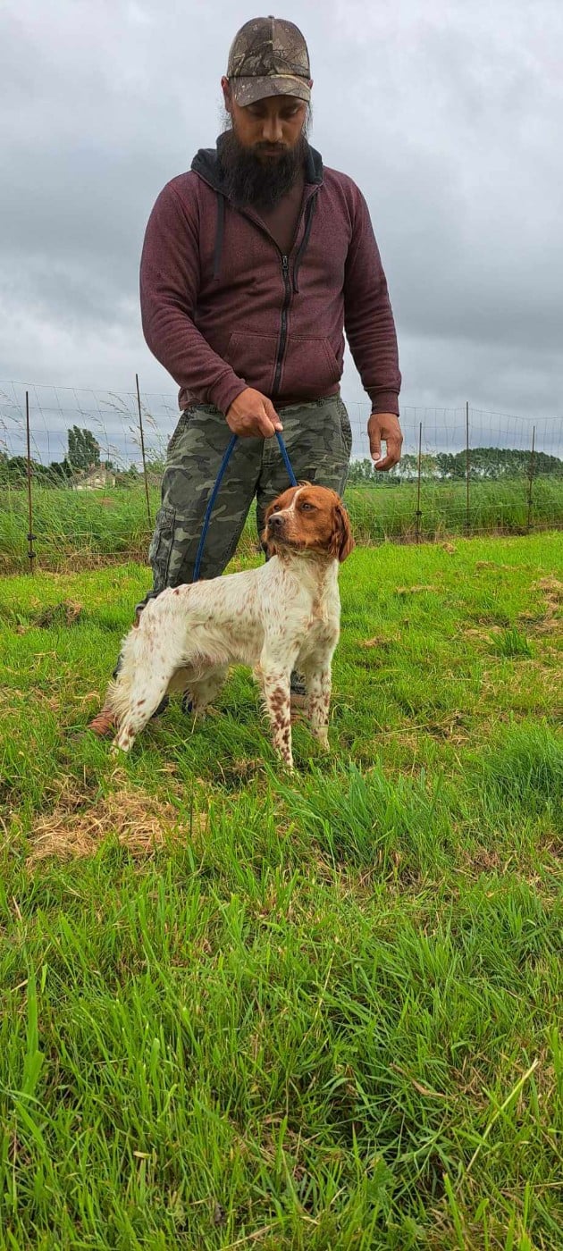 Ulote Du Bois Aux Paons