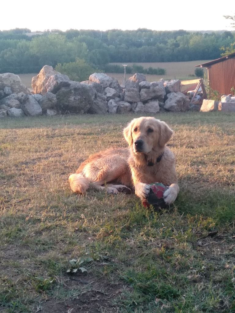 Polka Des Lisières D'Arraga