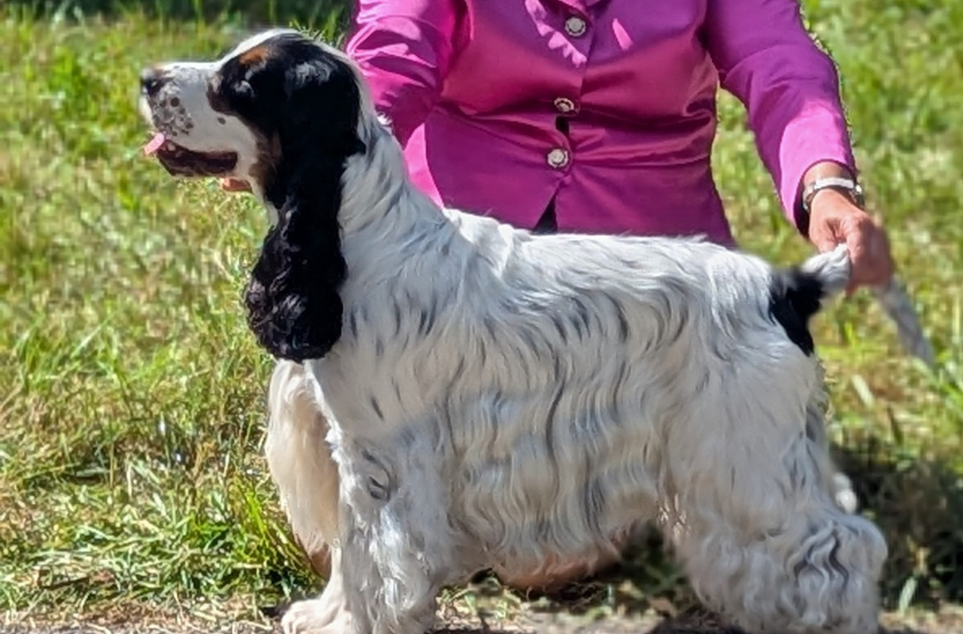 Publication : Domaine D'ostrale Auteur : CINQUEUX VIRGINIE