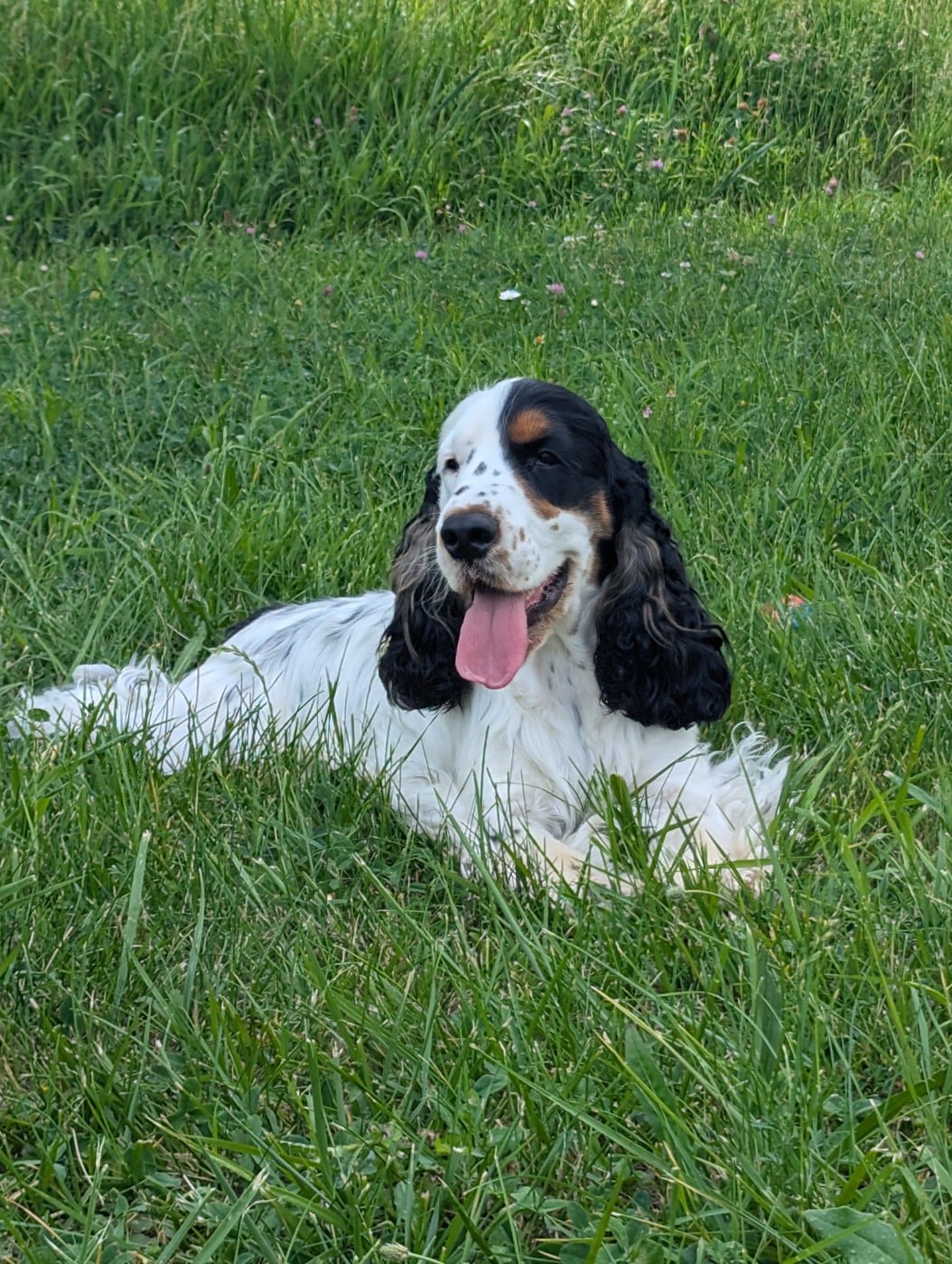 Publication : Domaine D'ostrale Auteur : CINQUEUX VIRGINIE