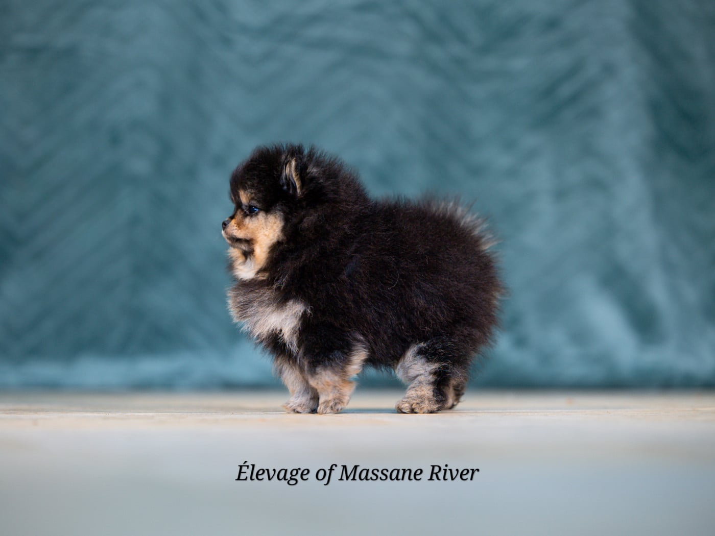 Bridgerton Milton Of Massane River