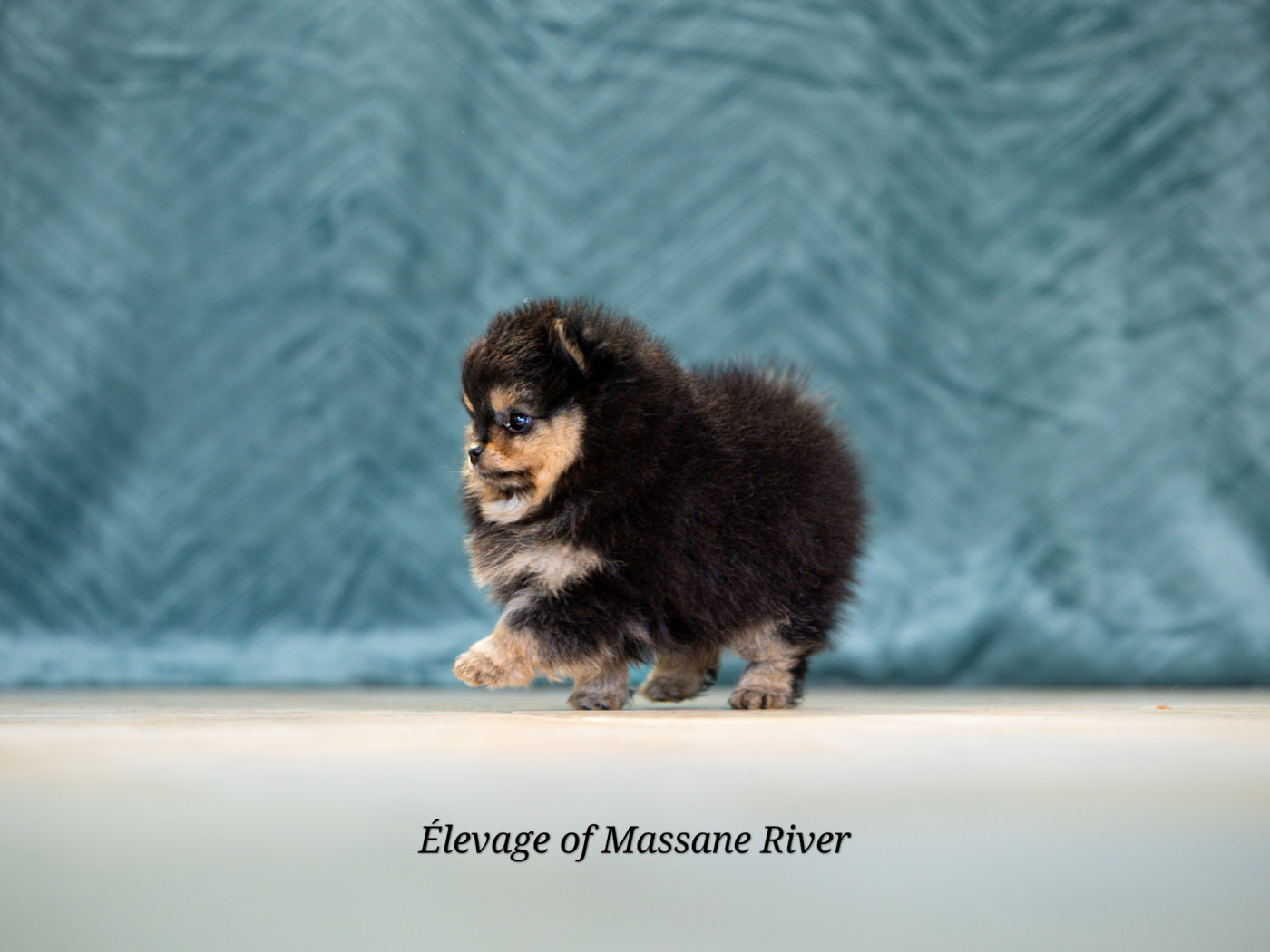 Bridgerton Milton Of Massane River