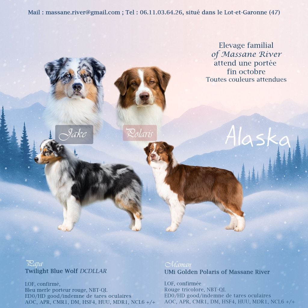 Berger Australien - of Massane River