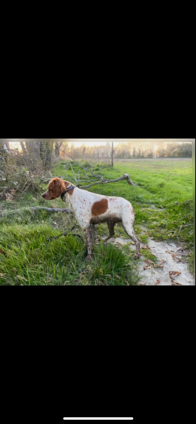 Alma du Mas De Paulon