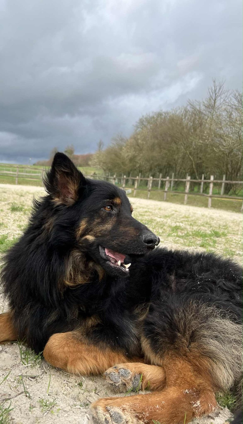 Christoffer magnolia passco