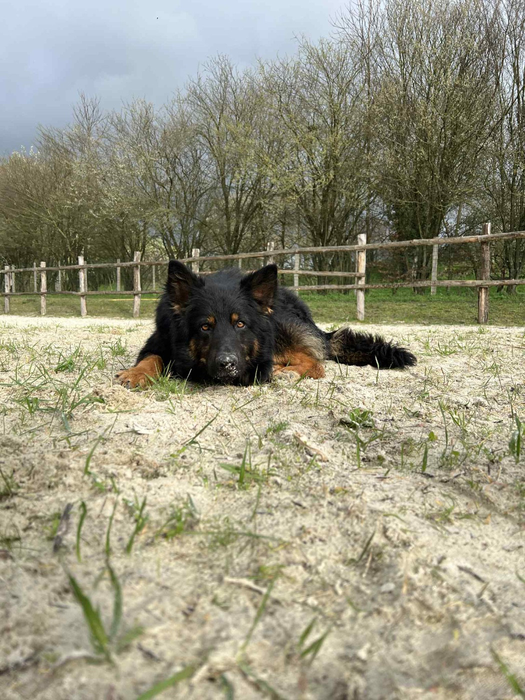 Christoffer magnolia passco