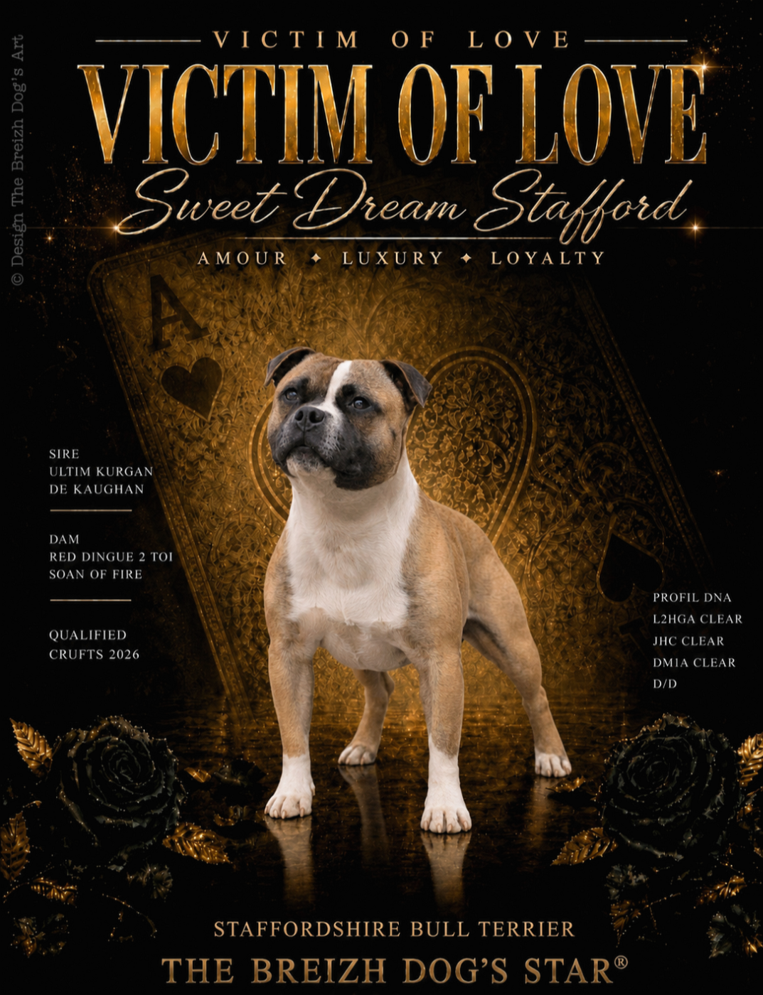 Victim of' love Sweet Dream Stafford