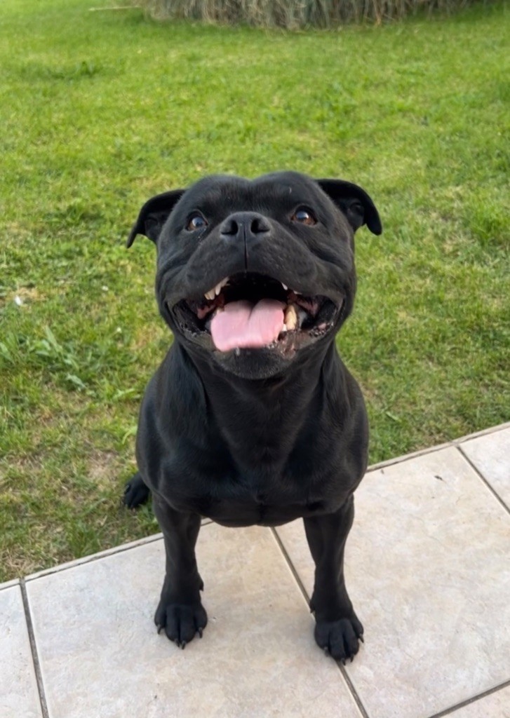 Publication : (Sans Affixe)