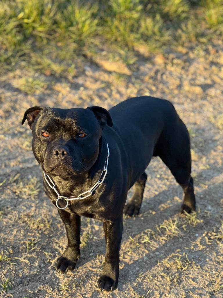 Publication : (Sans Affixe)