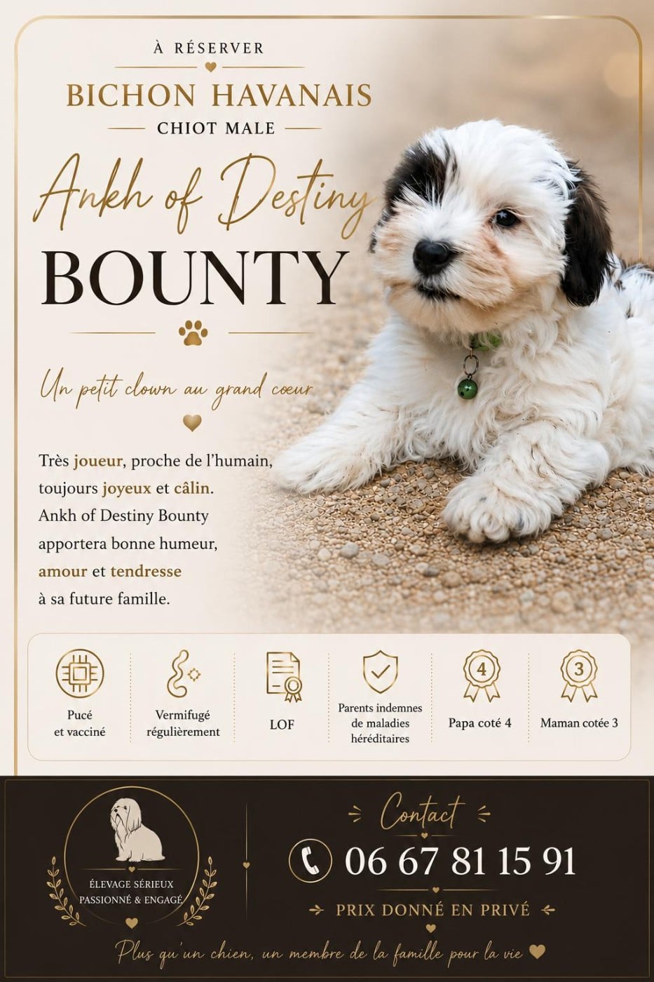 BOUNTY