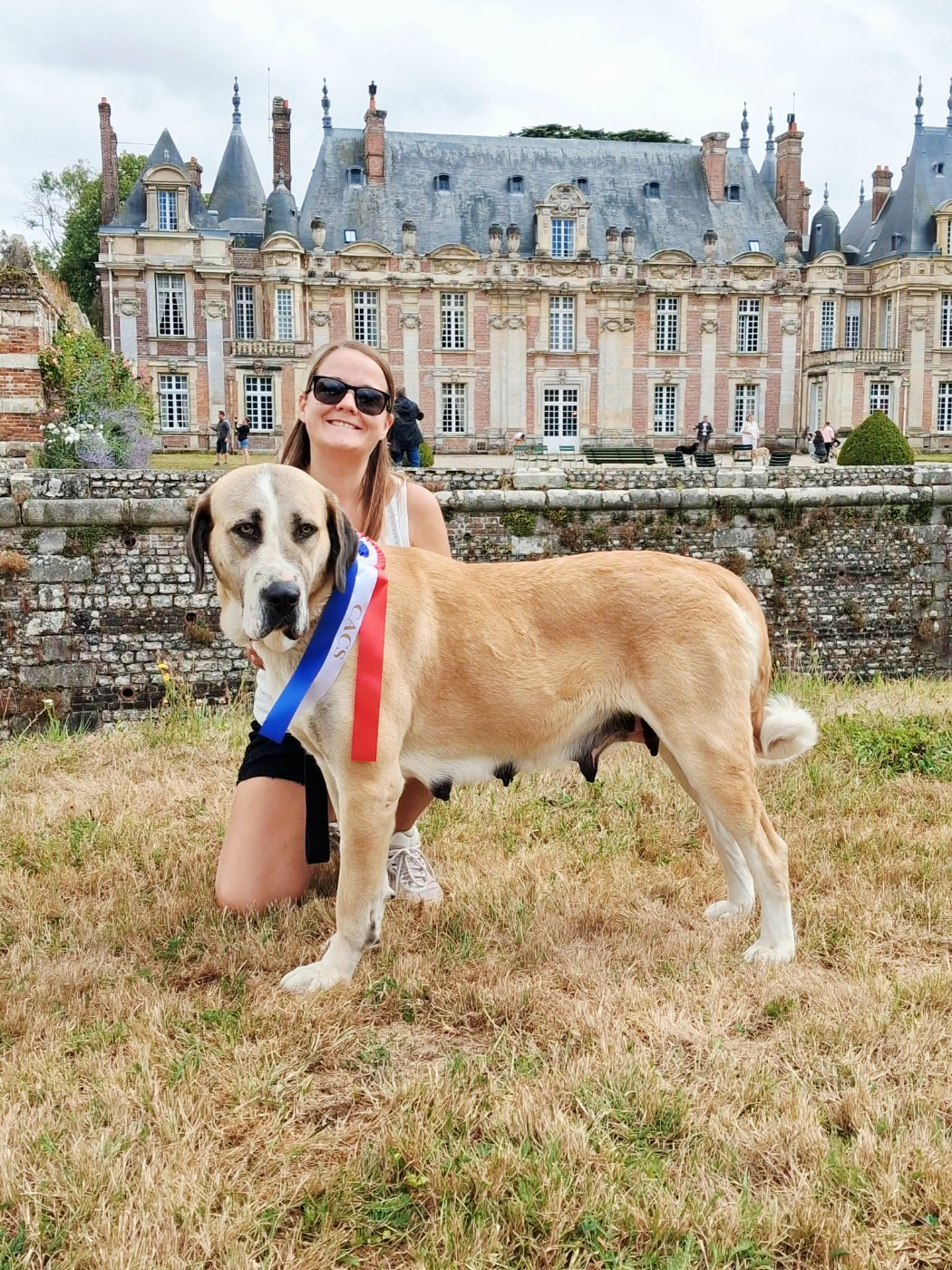 V'yashin alabai The Legend Of Kangal - 1er excellent - CACS - Meilleur de race