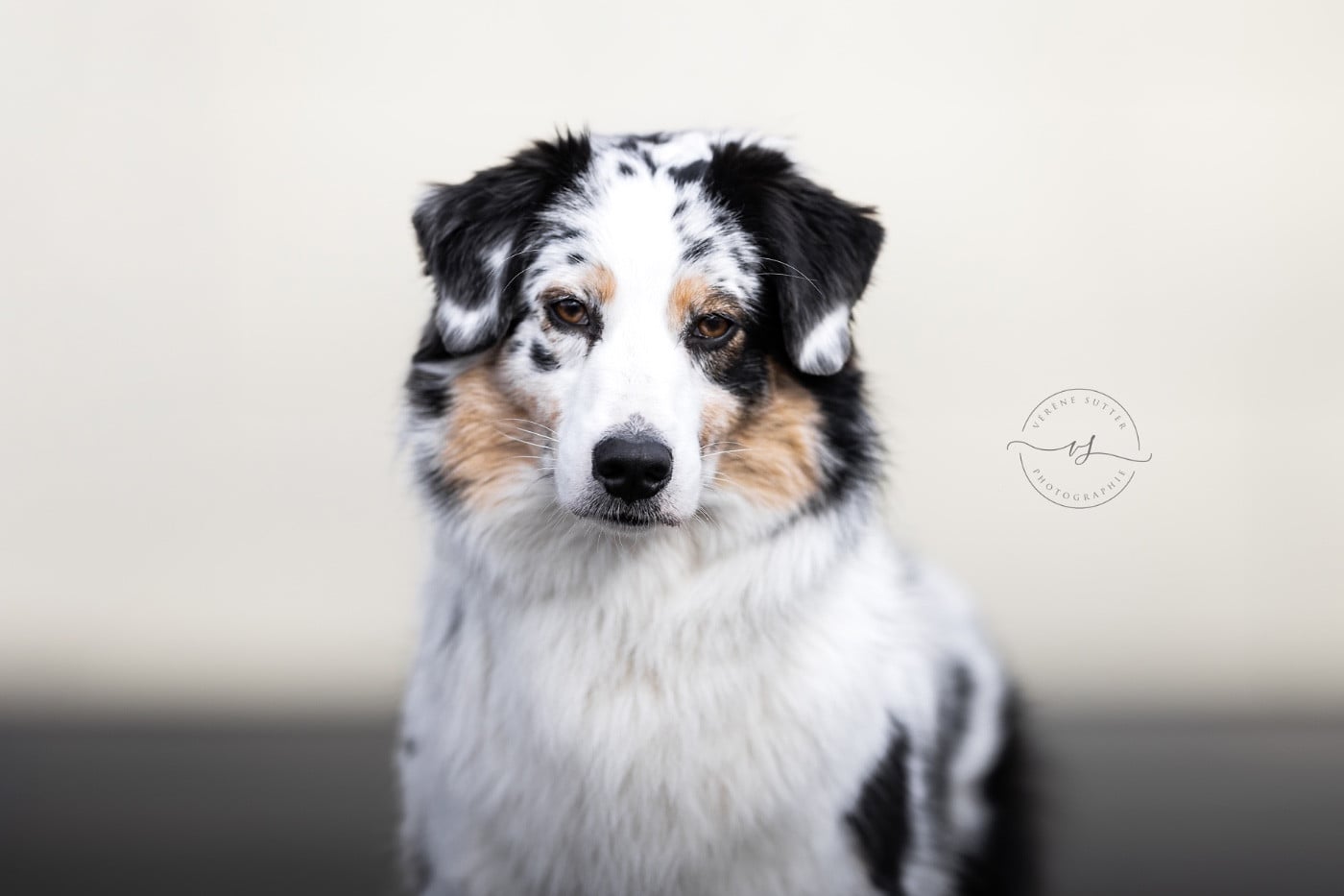 Publication : The Dark Enchantress