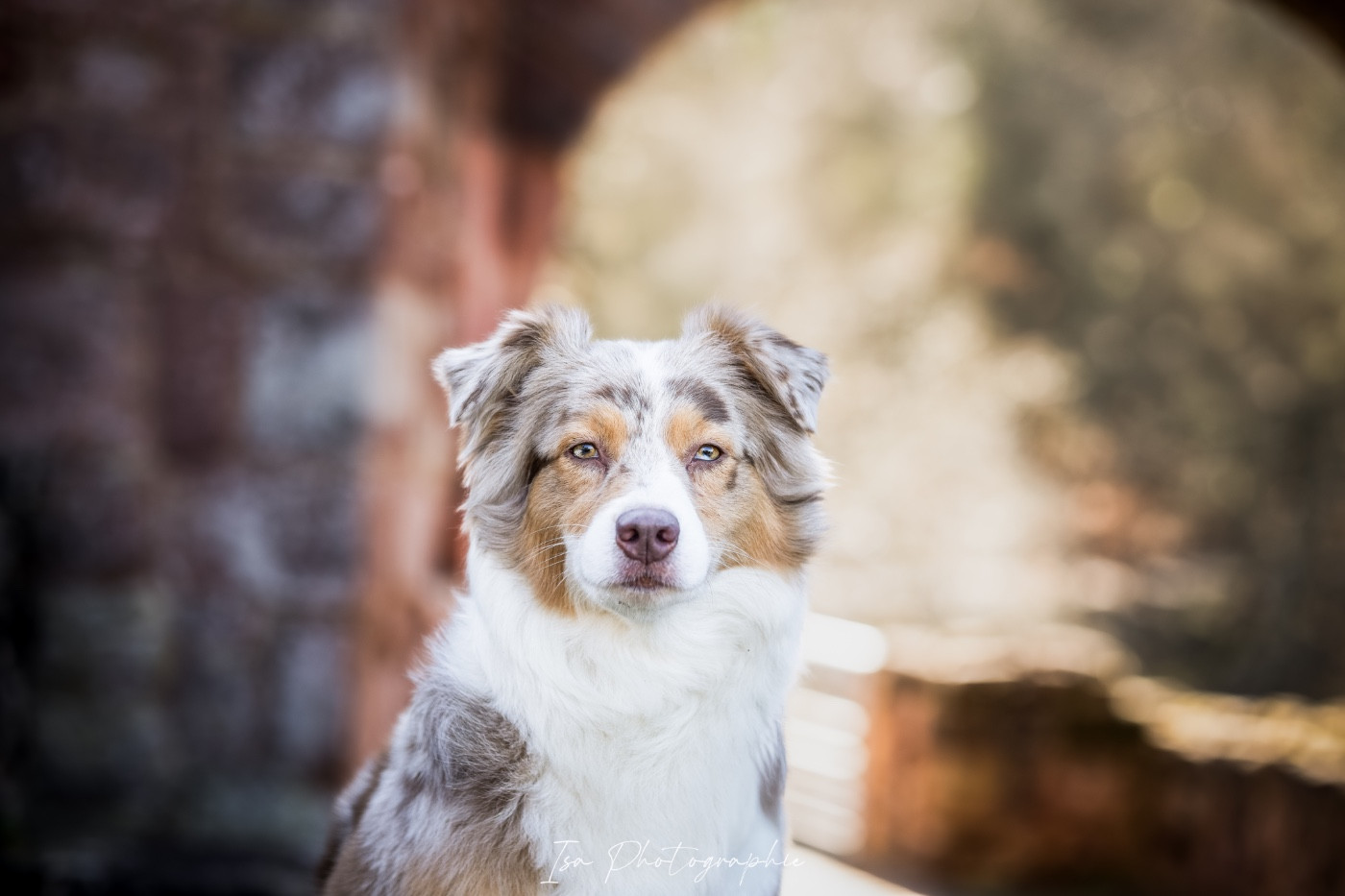 Savane Of Gold In The Heart