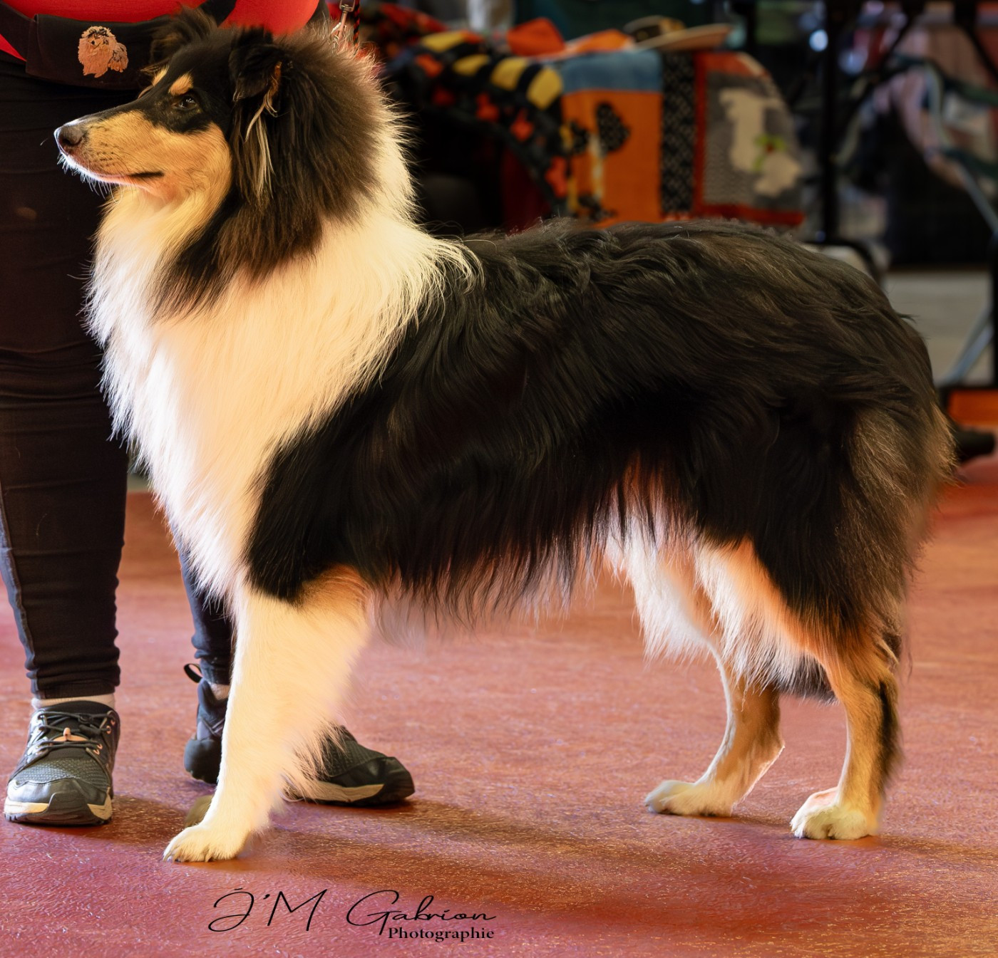 Vinci du domaine des émeraude du domaine des Emeraudes