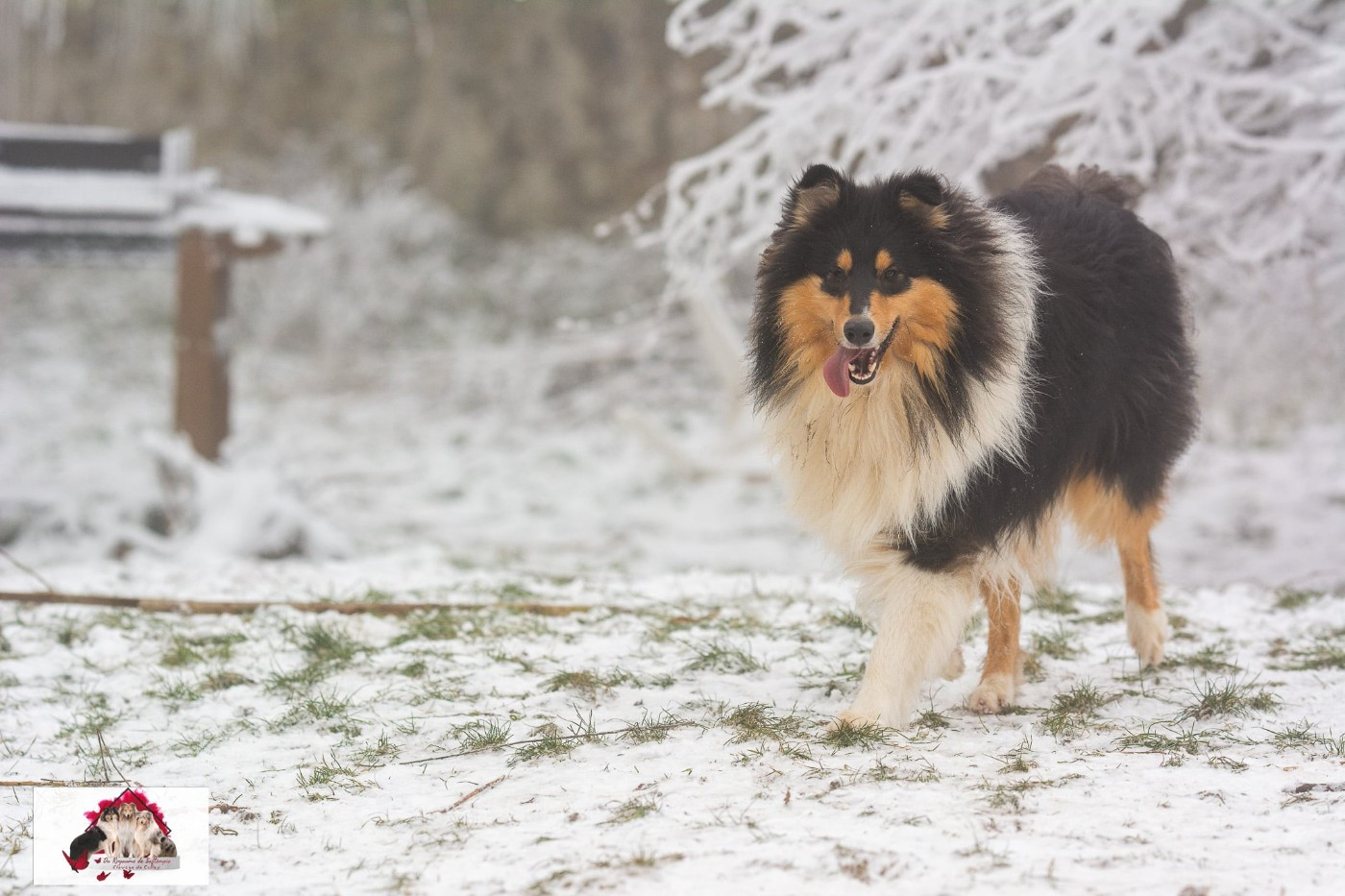 Vinci du domaine des émeraude du domaine des Emeraudes
