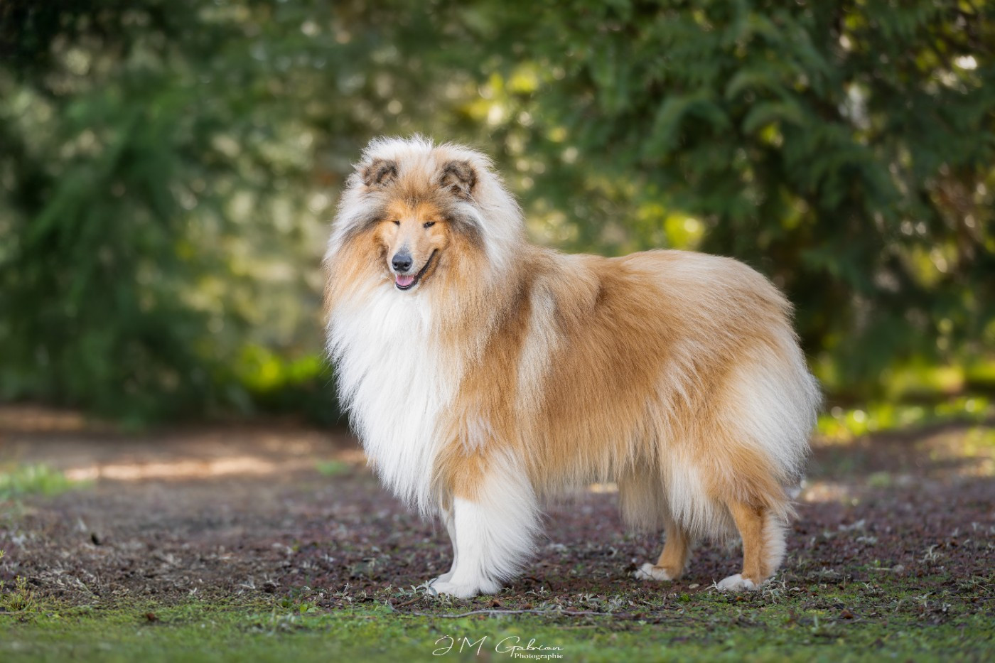 Vador j'adore of River Tweed