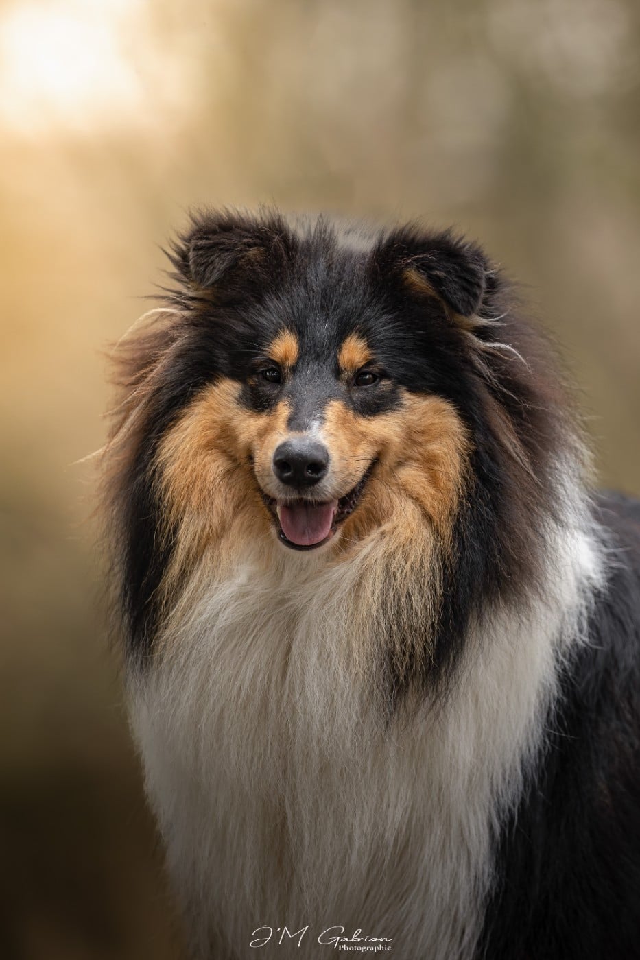 Vinci du domaine des émeraude du domaine des Emeraudes