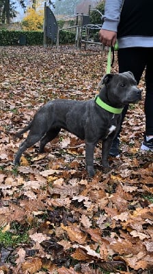 du Lagon de la Fournaise