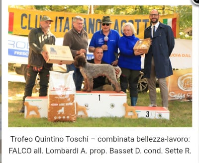 De La Maison Des Tartarin