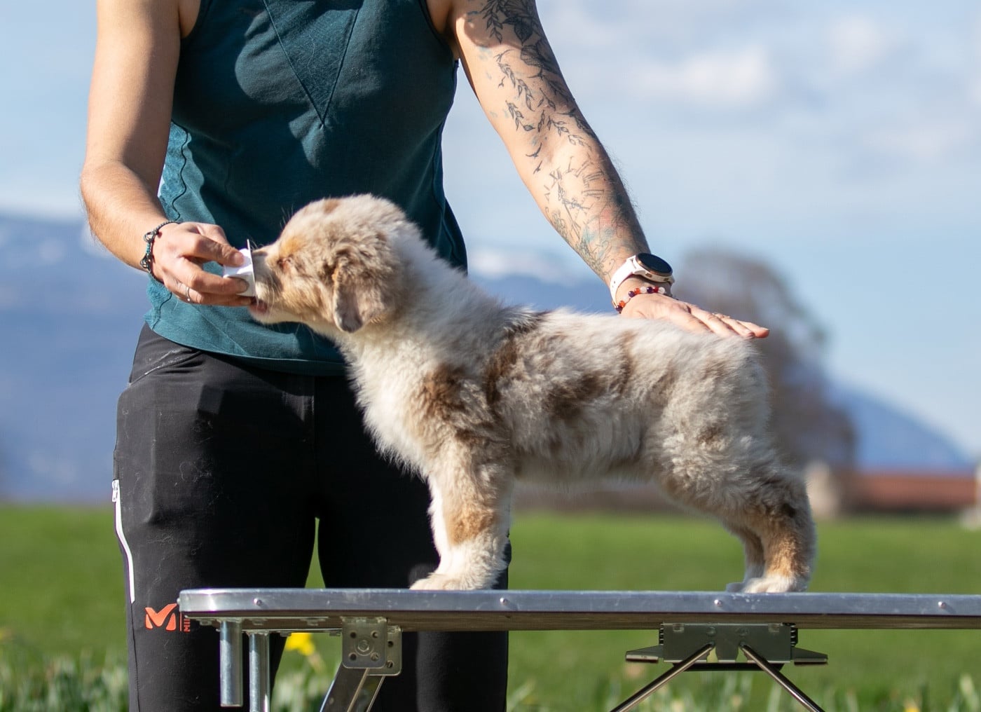 Sheperda A crown forged in fire