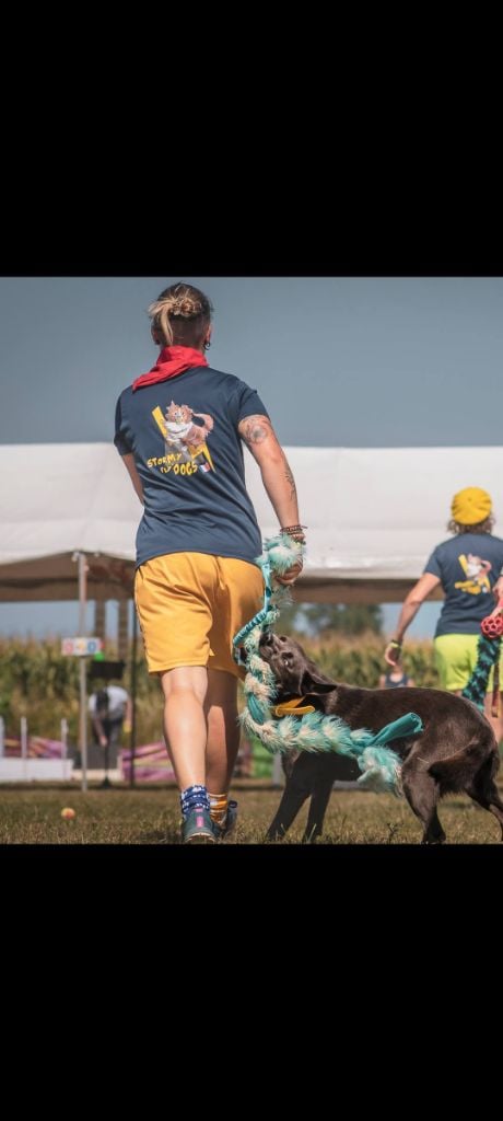 CH. Ucko Des Suricates De La Varenne