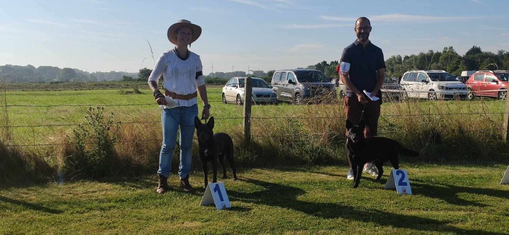 CH. Ucko Des Suricates De La Varenne